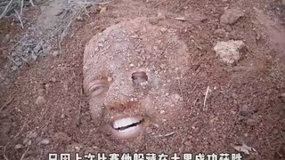Đây là ý tưởng của tôi về trò chơi trốn tìm.