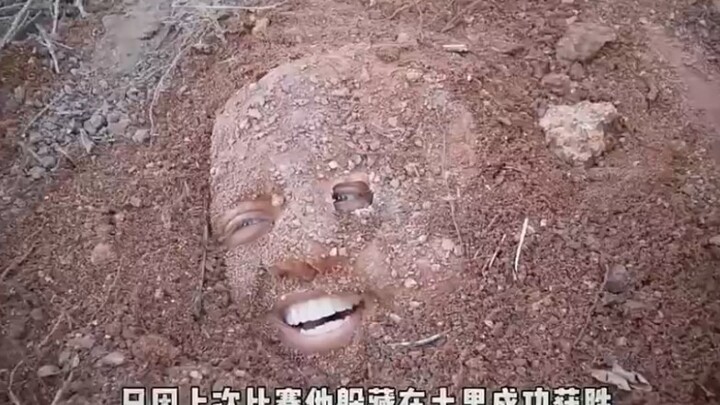 Đây là ý tưởng của tôi về trò chơi trốn tìm.