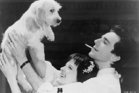 One of the greatest actors alive, the only actor to win three Oscars - Daniel Day-Lewis