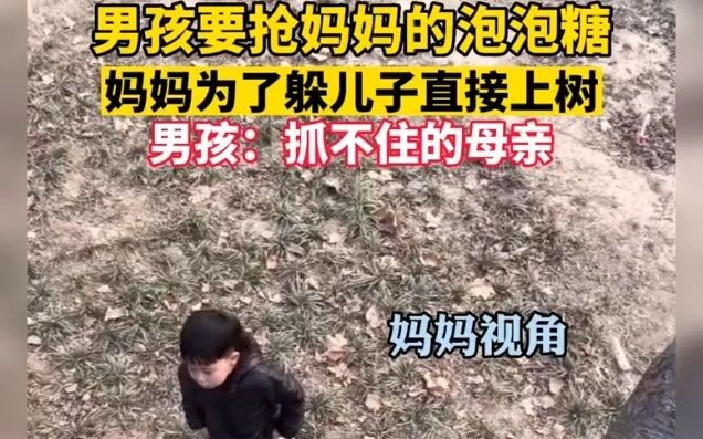 Cậu bé định giật kẹo cao su của mẹ, mẹ liền trèo lên cây để tránh con. Cậu bé: “Mẹ mà con chẳng thể 