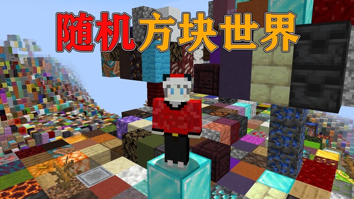 Minecraft: What if Every Block in MC Became a Random Block!!