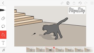 Cat Animation with FlipaClip