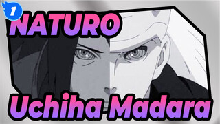 NATURO|Leaves are falling and police music is playing.We will meet in next life._1