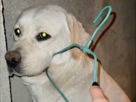 ตีกันตอนตีสองไม่ยอมนอน