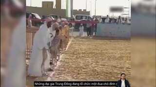 Các Đại Gia Trung Đông Làm Gì Để Giải Trí