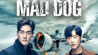 2_mad dog