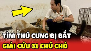 ĐI TÌM THÚ CƯNG của mình BỊ BẮT người đàn ông GIẢI CỨU 31 chú chó còn lại tại lò mổ | Yêu Lu