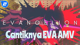 Kecantikan Neon Genesis Evangelion_2