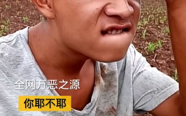 经典名梗原版视频