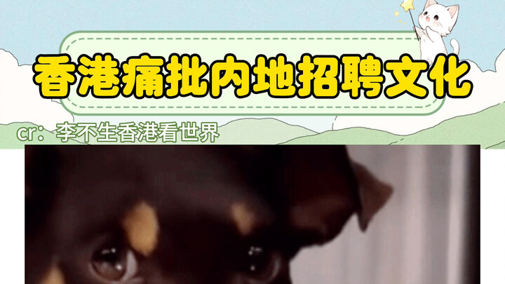 Đáng lẽ phải lên án từ lâu rồi! Bên Hong Kong chỉ sau 3 tháng thử việc là được ký hợp đồng vĩnh viễn