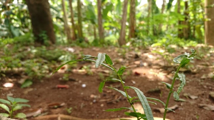 BAB susah ampe ketiduran di WC / Jamban