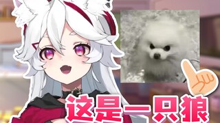对呜米的印象从___变成了___