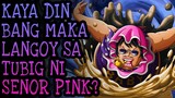 SWIM SWIM FRUIT Explained In Tagalog! | One Piece