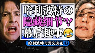 【盘点】哈利波特的隐藏细节和幕后趣事丨哈利波特与列文虎克13丨死亡圣器上⑤