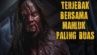 MAHLUK MISTERIUS YANG MEMBURU MANUSIA | Alur cerita film horor