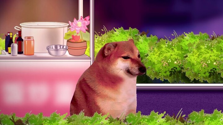 Cheems à, làm và nói mãi mãi là hai chuyện khác nhau đó.