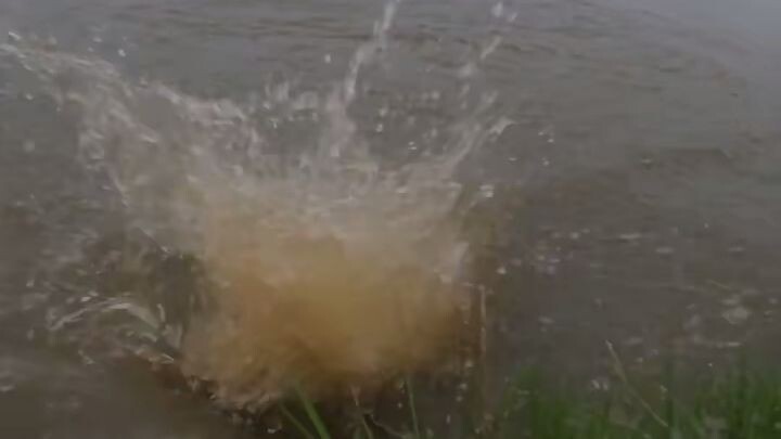 fishing Monster at river