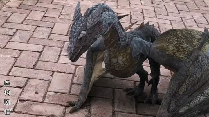 Cute pets, so adorable! Cooking has ignited my passion!