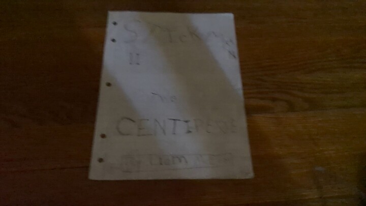 Stickmen: 2-the centipede