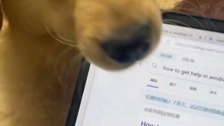 让你不陪我玩哼！