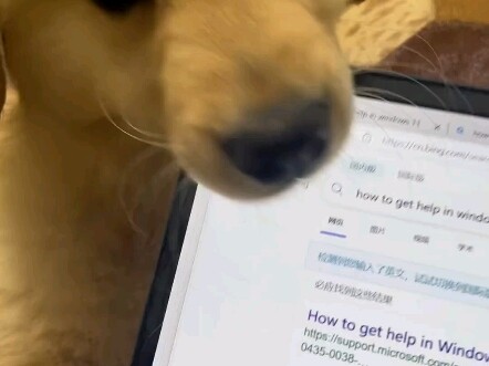 让你不陪我玩哼！