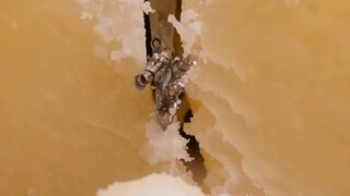 【放大亿点点】切割奶油起司