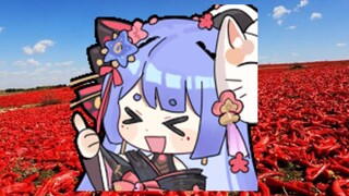 【阿梓】世界上有五种辣
