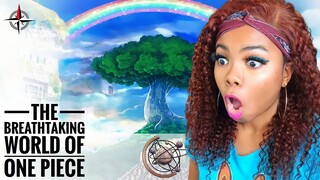 The Most Beautiful Anime?! - The Breathtaking World of One Piece First Reaction