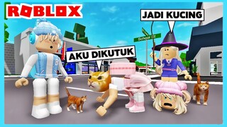 Adiku Di Kutuk Menjadi Kucing Orange Di Roblox Brookhaven ft @Shasyaalala