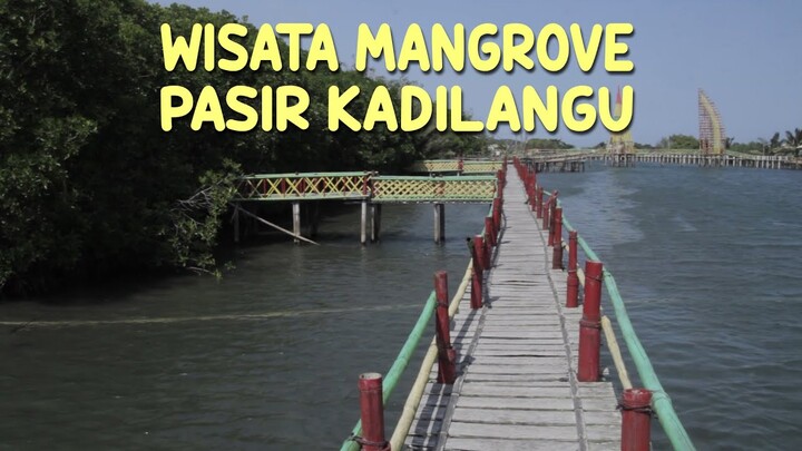 Wisata Mangrove Kadilangu