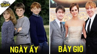 Dàn Diễn Viên Harry Poter Ngày Ấy & Bây Giờ Ra Sao ?