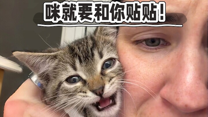 How to handle an clingy little cat!