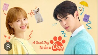 A GOOD DAY TO BE A DOG TAGALOG EP24