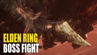 Elden Ring: Starscourge Radahn boss fight