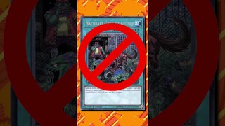 Darum ist Nachbars Gras ist Grüner Verboten in Yu-Gi-Oh!