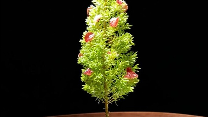 กินแอปเปิลก็ต้องมีความเป็นพิธีการสิ!