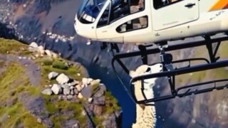 Helicopter 🚁 goat rescue 🐐😱🚁 #viralshorts