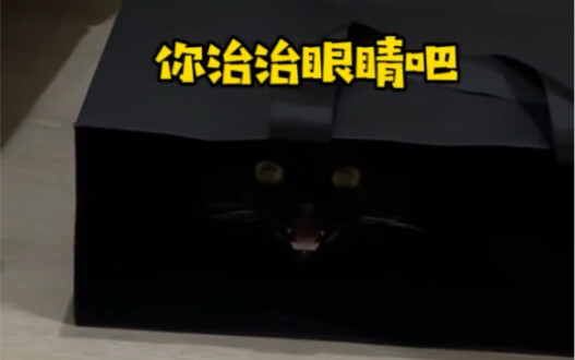 Ever since I got a black cat, I’ve been wondering every day if I’m blind.