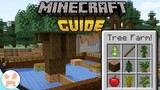 SAPLING TREE FARM! | Minecraft Guide - Minecraft 1.17 Tutorial Lets Play (157)
