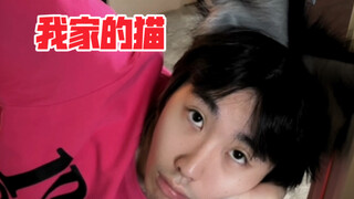 猫猫的本性是犯贱！