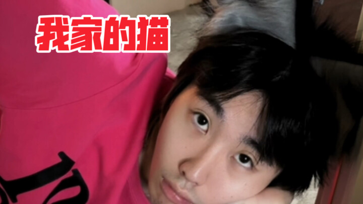 猫猫的本性是犯贱！