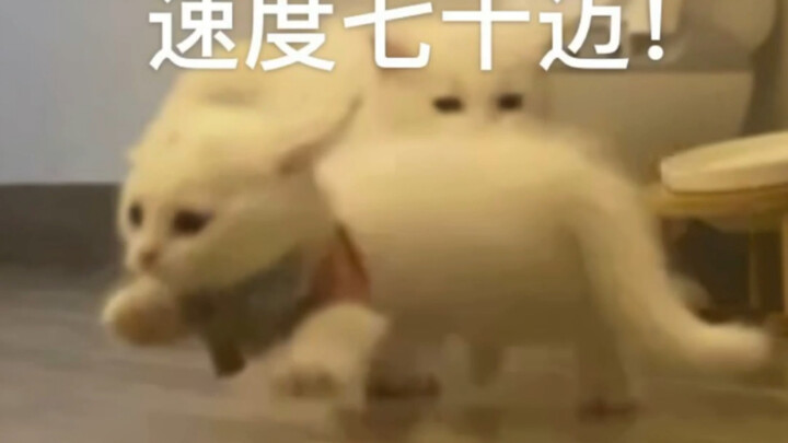 Ngebut di tikungan baru bener-bener ngebut! Siapa sih yang nggak bisa nambah gas di lintasan lurus?