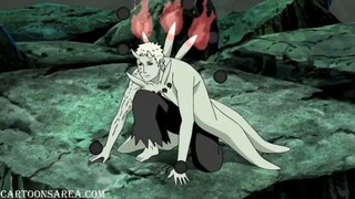 NARUTO SHIPPUDEN