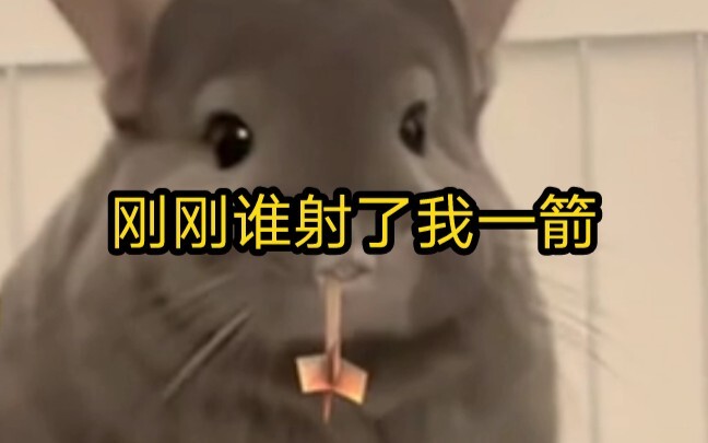 Who just shot an arrow at me?