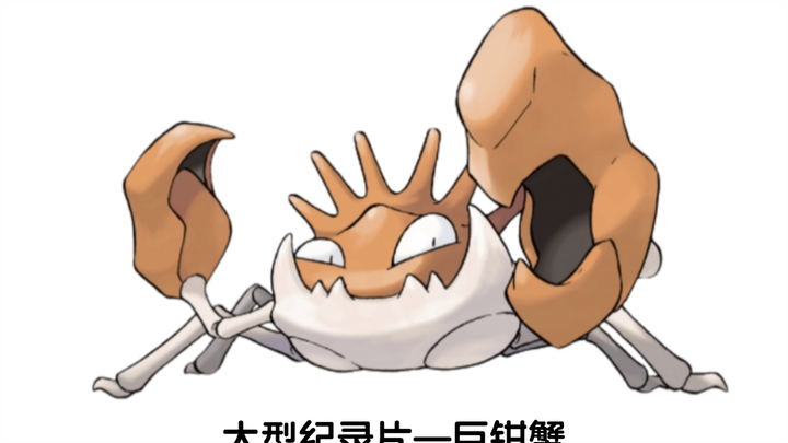 宝可梦大型纪录片—巨钳蟹传奇