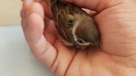 It's like I've raised a dog, wagging its tail and wanting to cuddle.