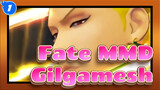 [Fate MMD] Gilgamesh: I'm Shining!_1