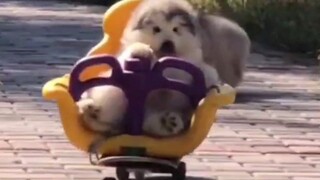 看完之后知道该@谁了吧