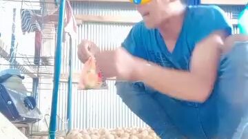 #dudamerana