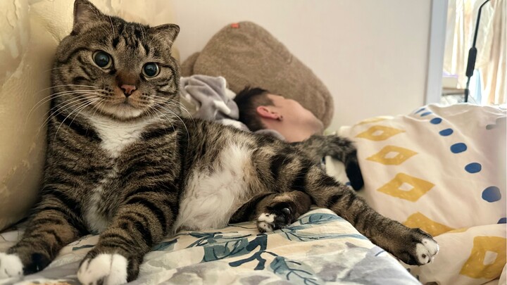 过完年回家后，小猫咪24小时守着我，怕我再次离开